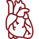 Dra Camila Alves Cardiologista em porto feliz e Boituva